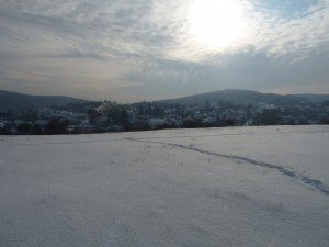 Bükkszt
